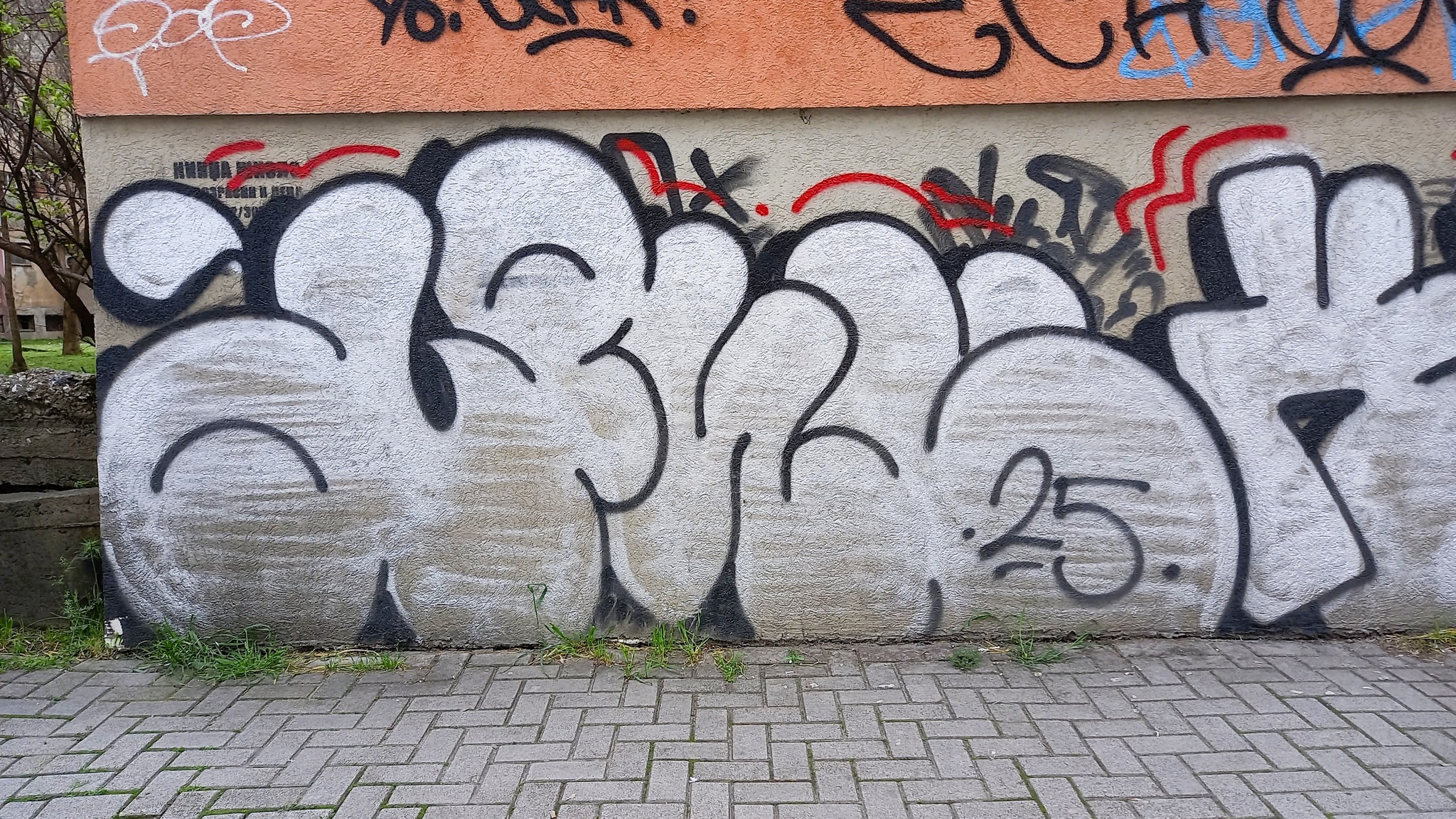 17