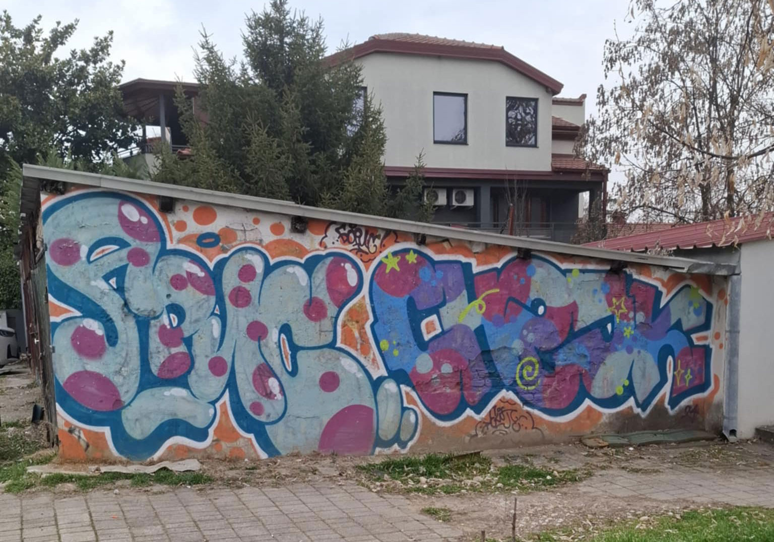 26