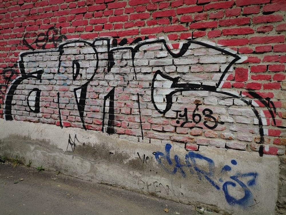43