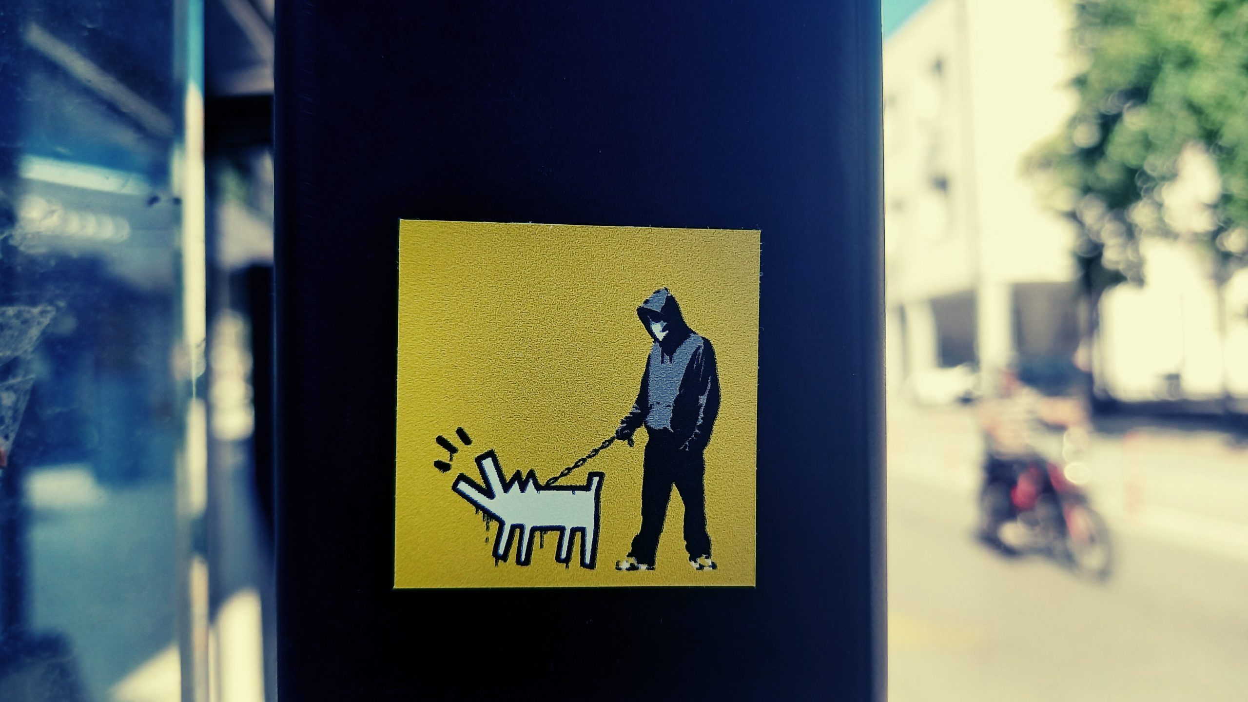 Caption 8