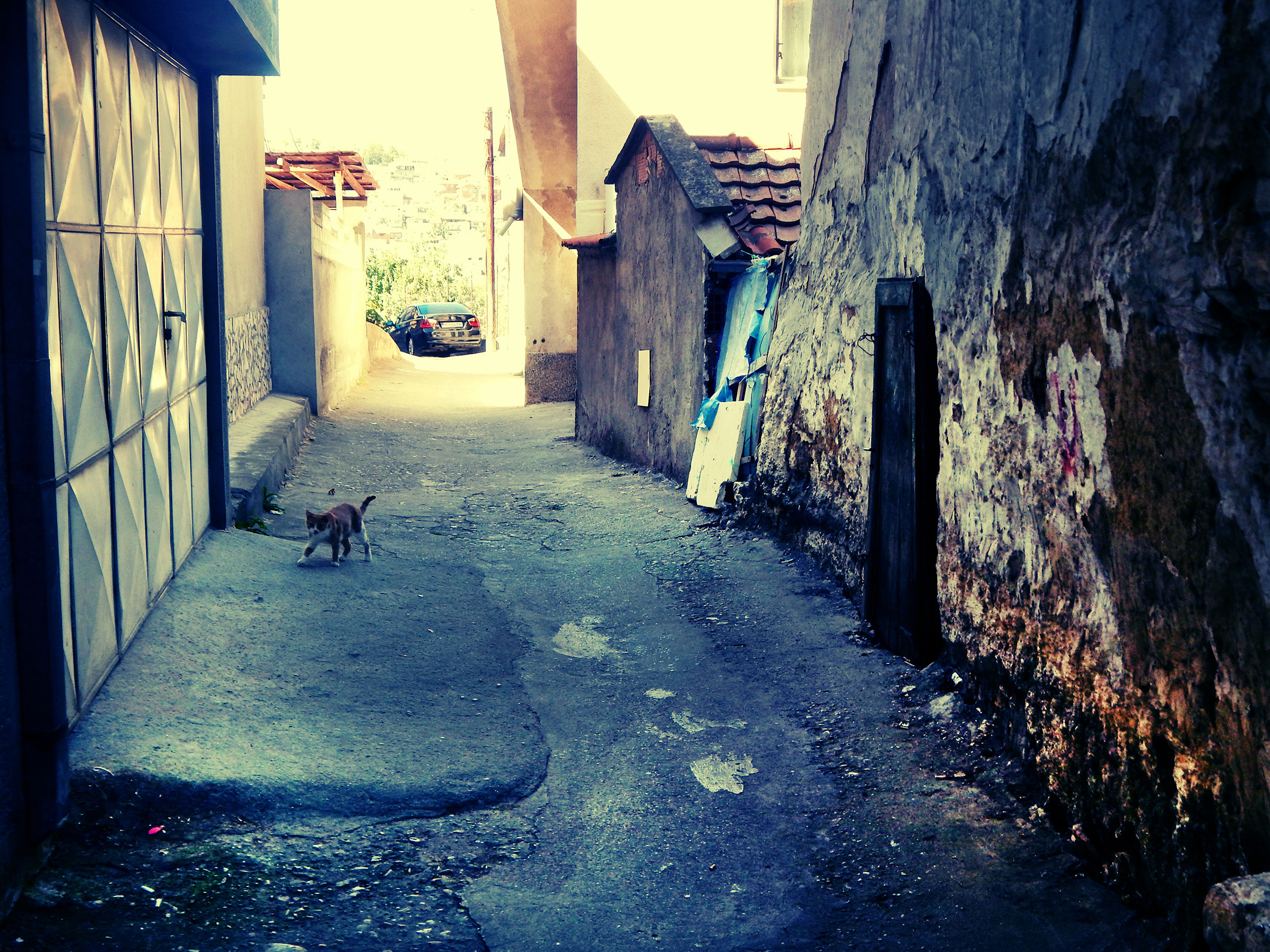 Caption 8
