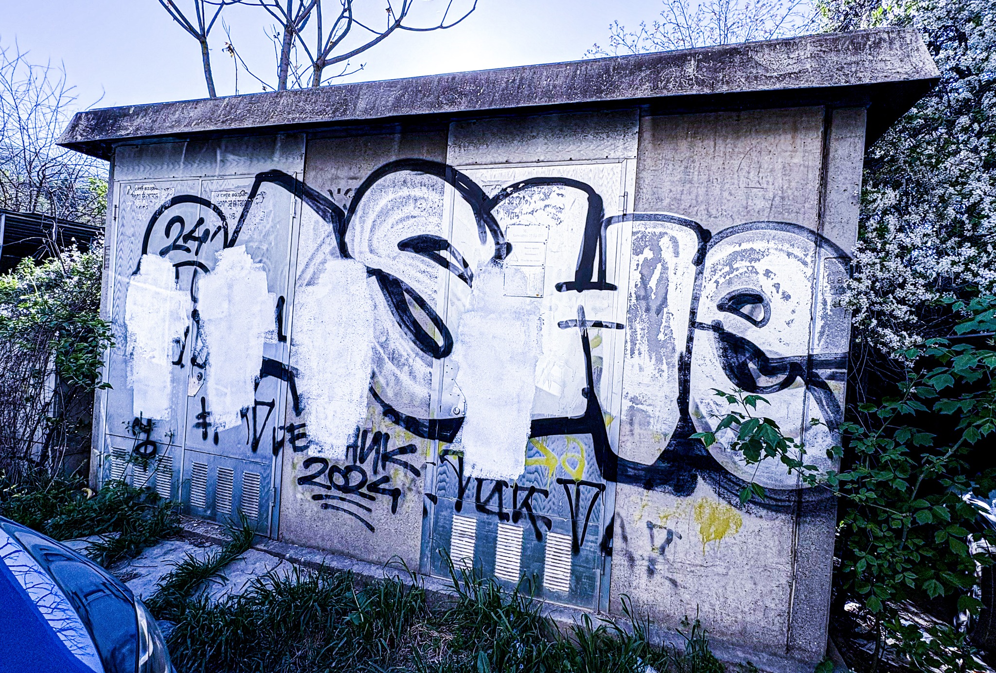 ASHE