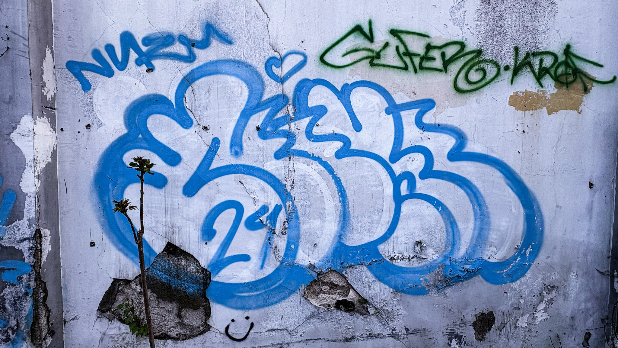 Gufer
