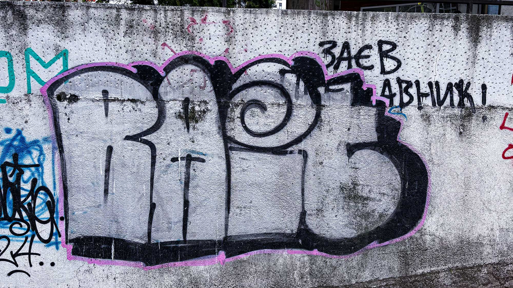 BAIT