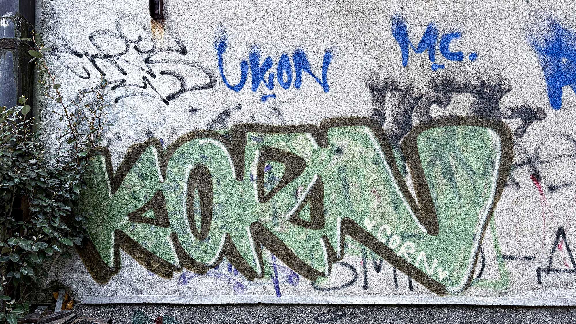 KORN CORN